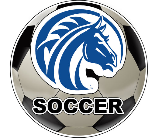 Fayetteville State University 4-Inch Round Soccer Ball NCAA Soccer Passion Vinyl Sticker