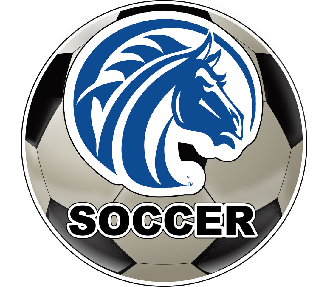 Fayetteville State University 4-Inch Round Soccer Ball NCAA Soccer Passion Vinyl Sticker