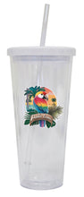 Load image into Gallery viewer, Punta Cana Dominican Republic Souvenir 24 oz Reusable Plastic Straw Tumbler w/Lid &amp; Straw
