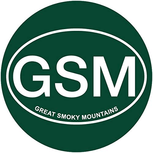 R and R Imports Great Smoky Mountains Tennessee 4 Inch Round Magnet