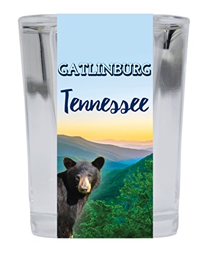 Gatlinburg Tennessee Square Shot Glass