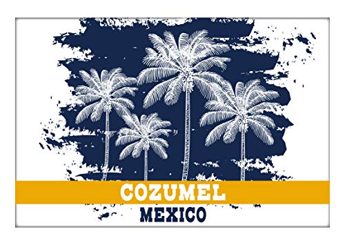 Cozumel Mexico Souvenir 2x3 Inch Fridge Magnet Palm Design